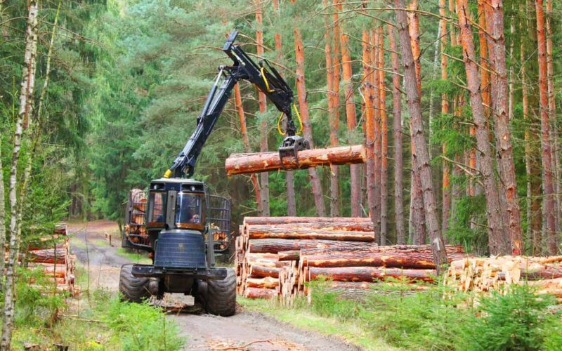 Ag Forestry