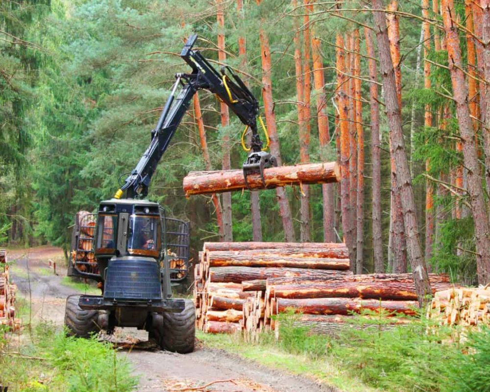 Ag Forestry