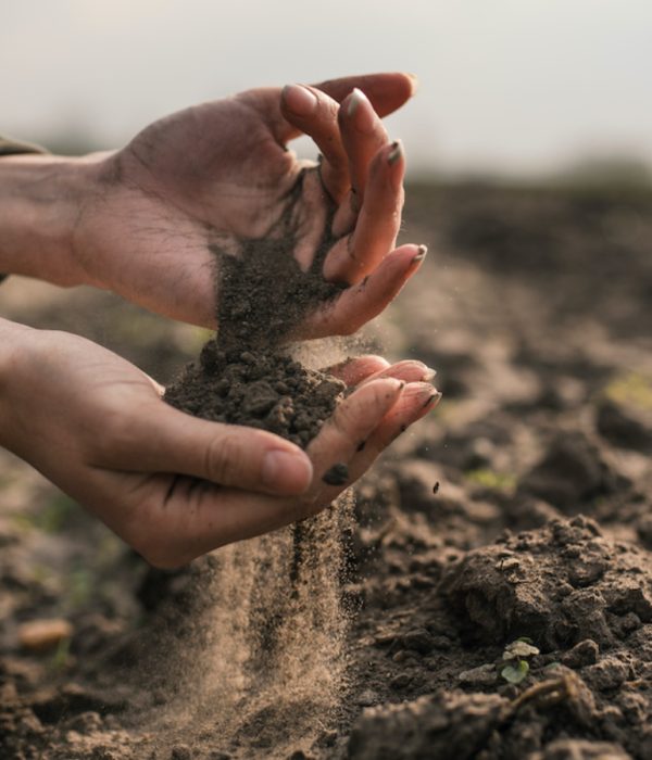 Soil